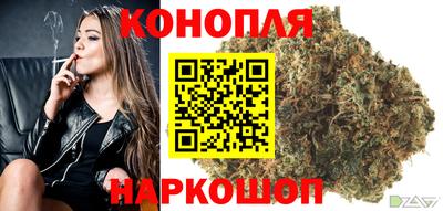 Альфа ПВП Донской