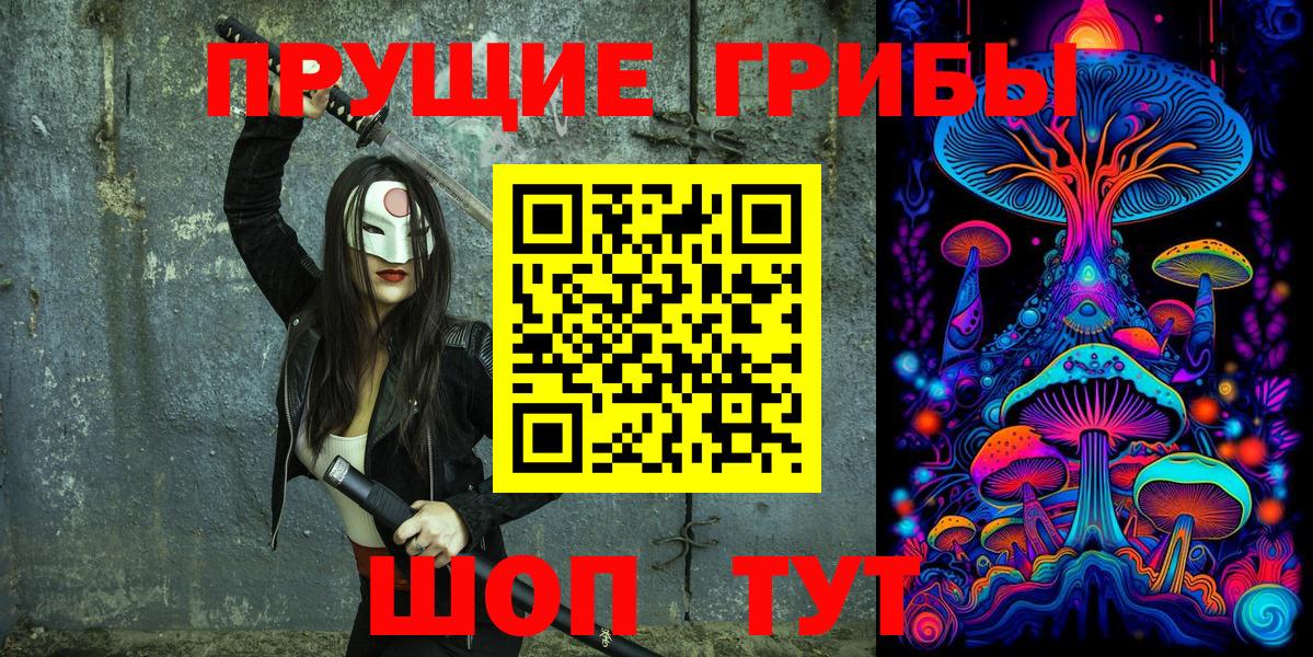 Галлюциногенные грибы Psilocybe Нижнекамск