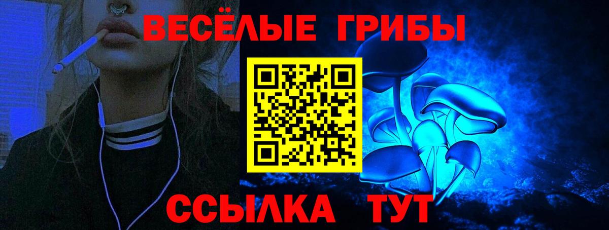 Псилоцибиновые грибы прущие грибы  Вход с VPN  Нижнекамск 